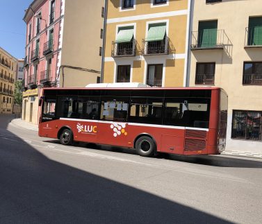 Bus Urbano
