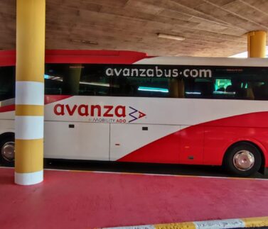 Estación buses 2